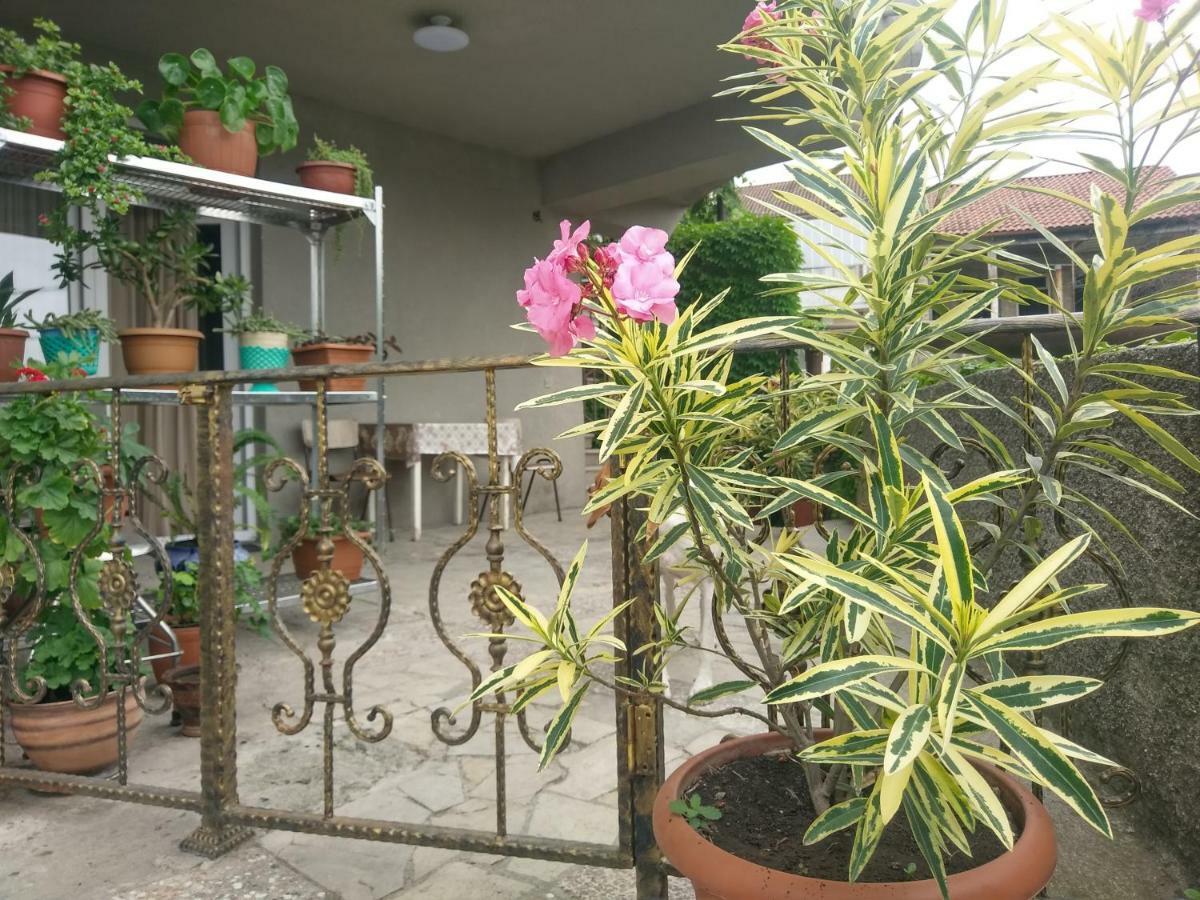 Guest House Vista Сигнахи Екстериор снимка
