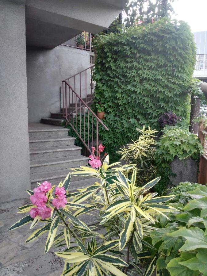 Guest House Vista Сигнахи Екстериор снимка